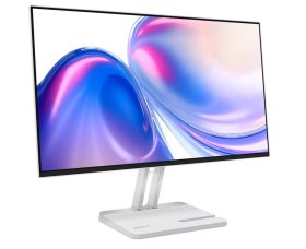 Lenovo L24-4C Lenovo L24-4C